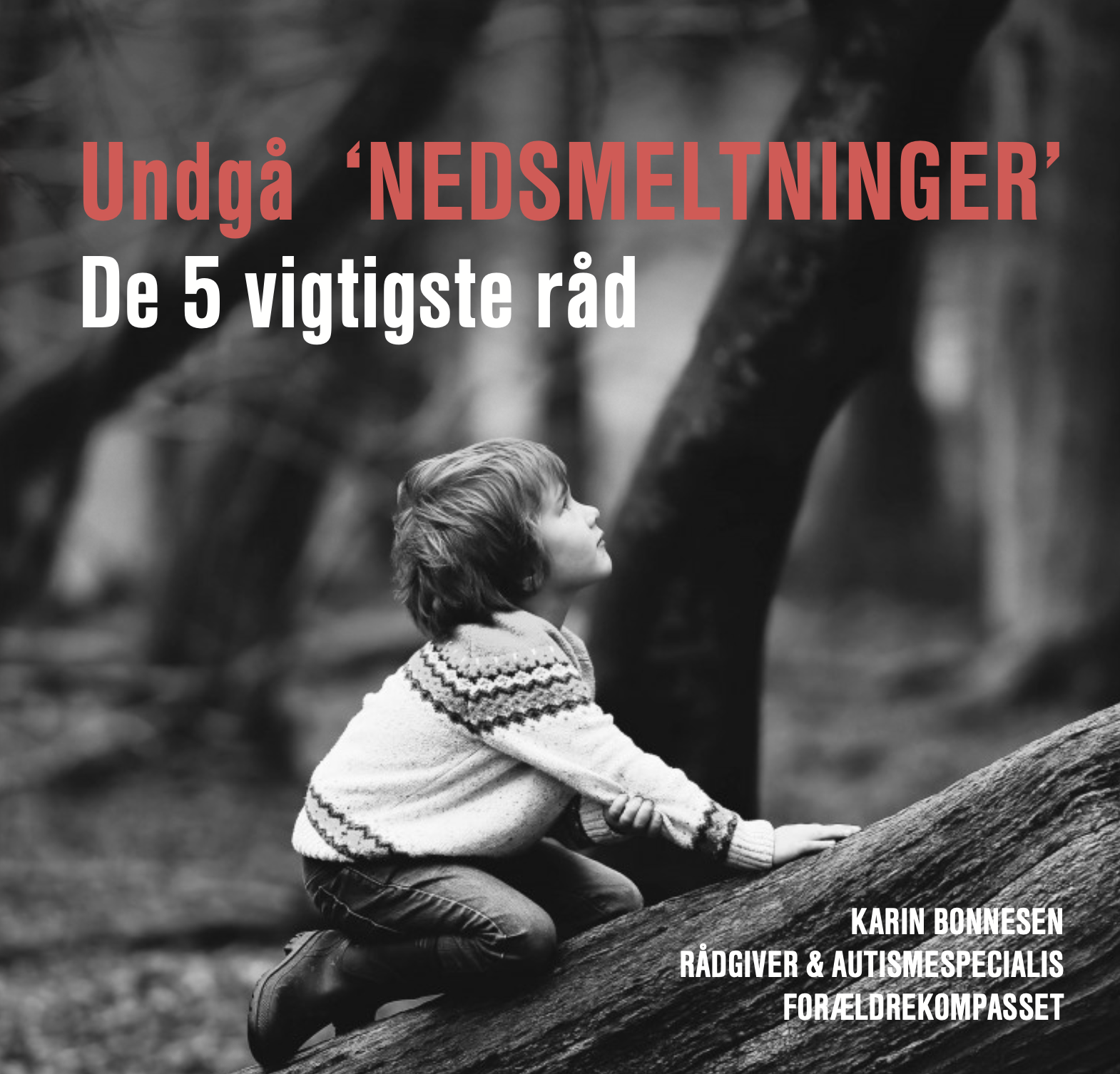 Guide til at forebygge nedsmeltninger